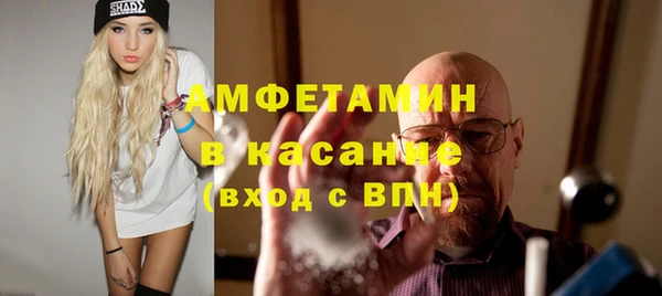 мдпв Рославль