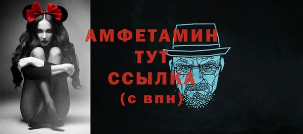 мдпв Рославль