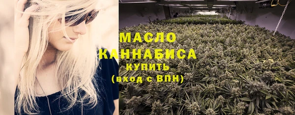 мдпв Рославль