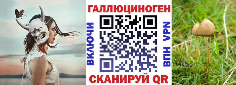 hydra зеркало  Юхнов  Псилоцибиновые грибы GOLDEN TEACHER 